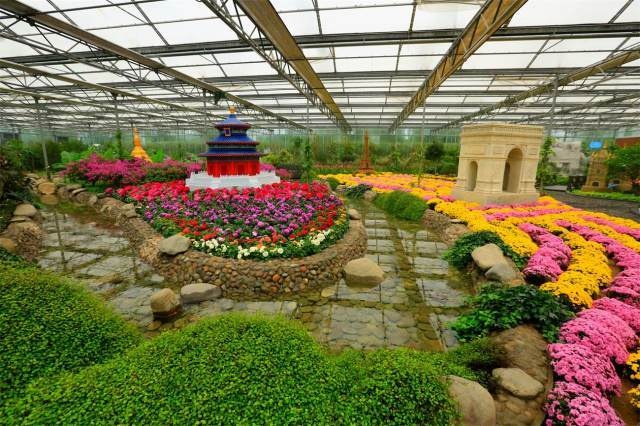 浜儕閲戠鏃呮父,涓板彴閲戠娆㈡父