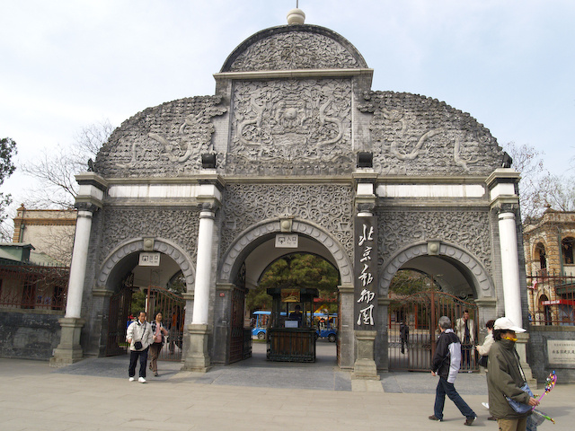 动物园的游学日记,逛动物园日记