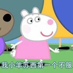 美国人吃辣椒哭了,美国人为四川辣酱排队