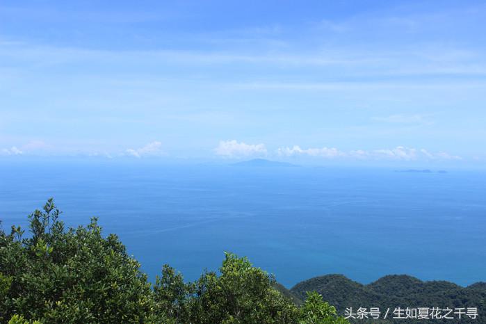 去兰卡威逗小鲨鱼，登嘉楼热浪岛浪一浪