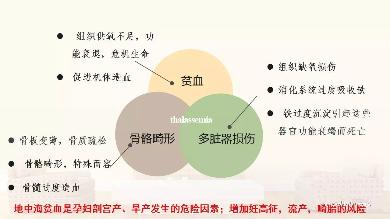 孕期地中海贫血症状和危害,地中海贫血怎样补充营养