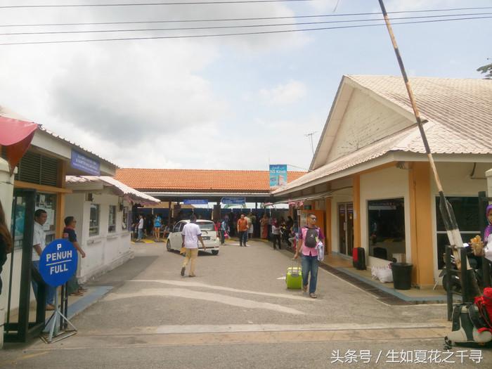 去兰卡威红树林,去兰卡威怎么玩