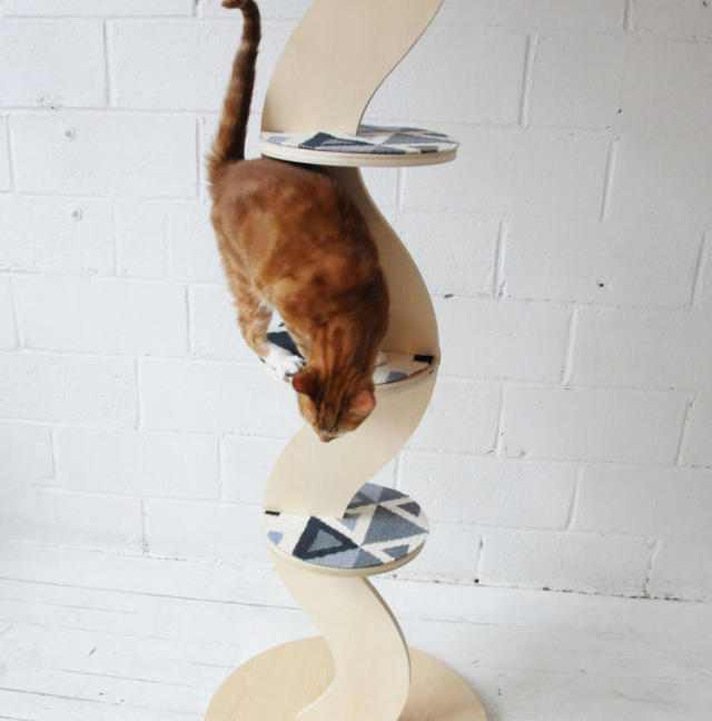 神助力家具，让你和心仪的喵星人甜蜜同居