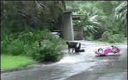 青春旅社王源景甜去医院视频,青春旅社赵英俊王源景甜