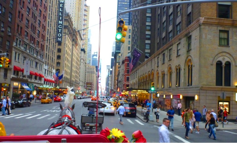 我在纽约创业,我在纽约的31天