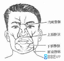 女孩子挤了个痘痘,女孩挤痘引颅内感染