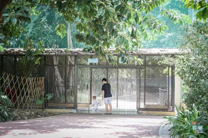 广州动物园的地图,广州动物园下一站去哪里