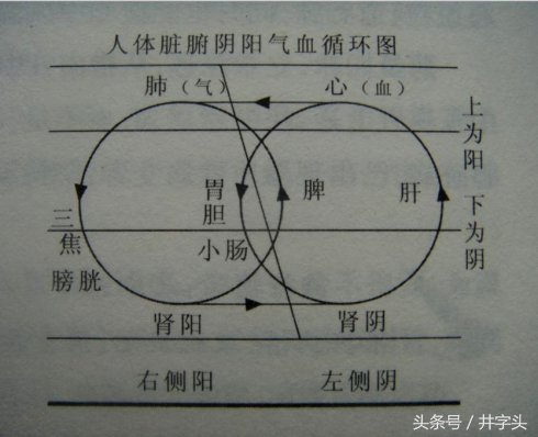 养生|《服气精义论》,发展陶弘景服气疗病思想,简单可行
