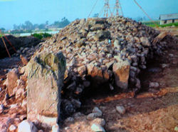 中国古羌人迁徙历史,古羌人现在还存在吗