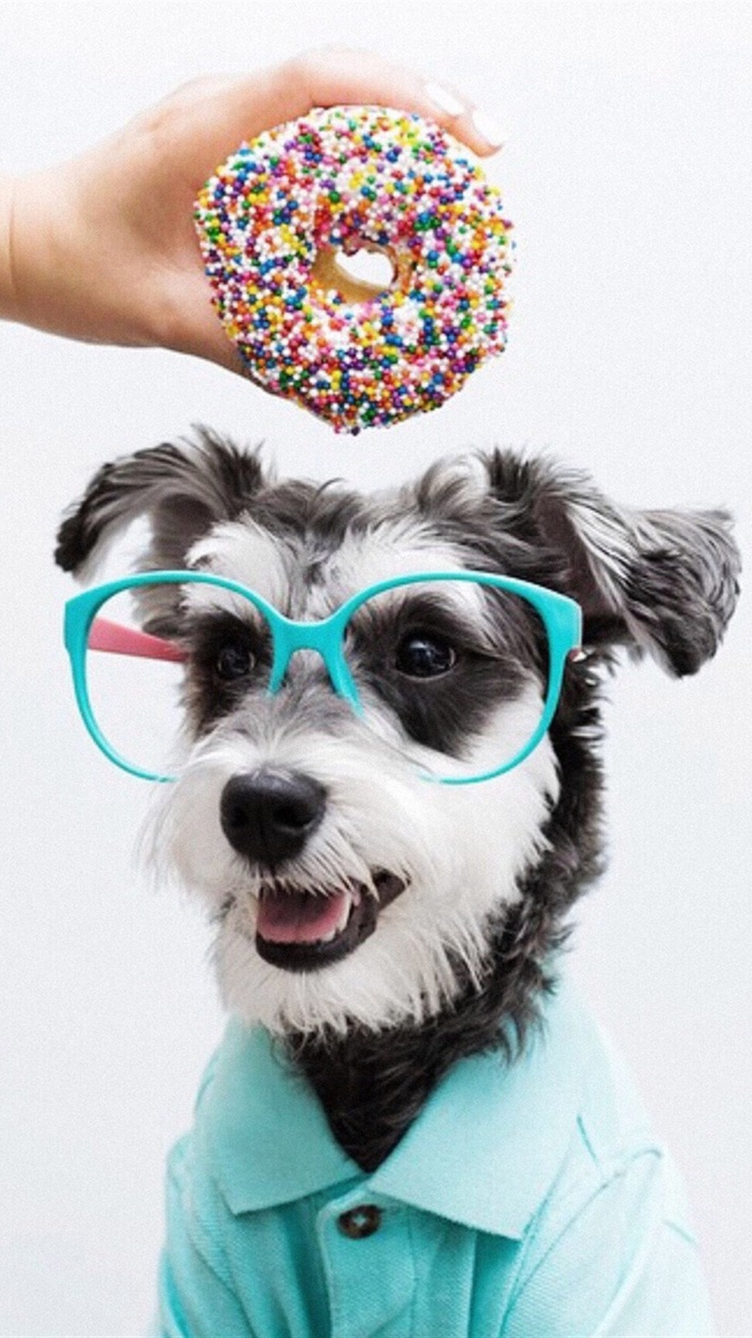 唯美1080×1920P高清壁纸锁屏画面待机背景图！请在wifi环境查看