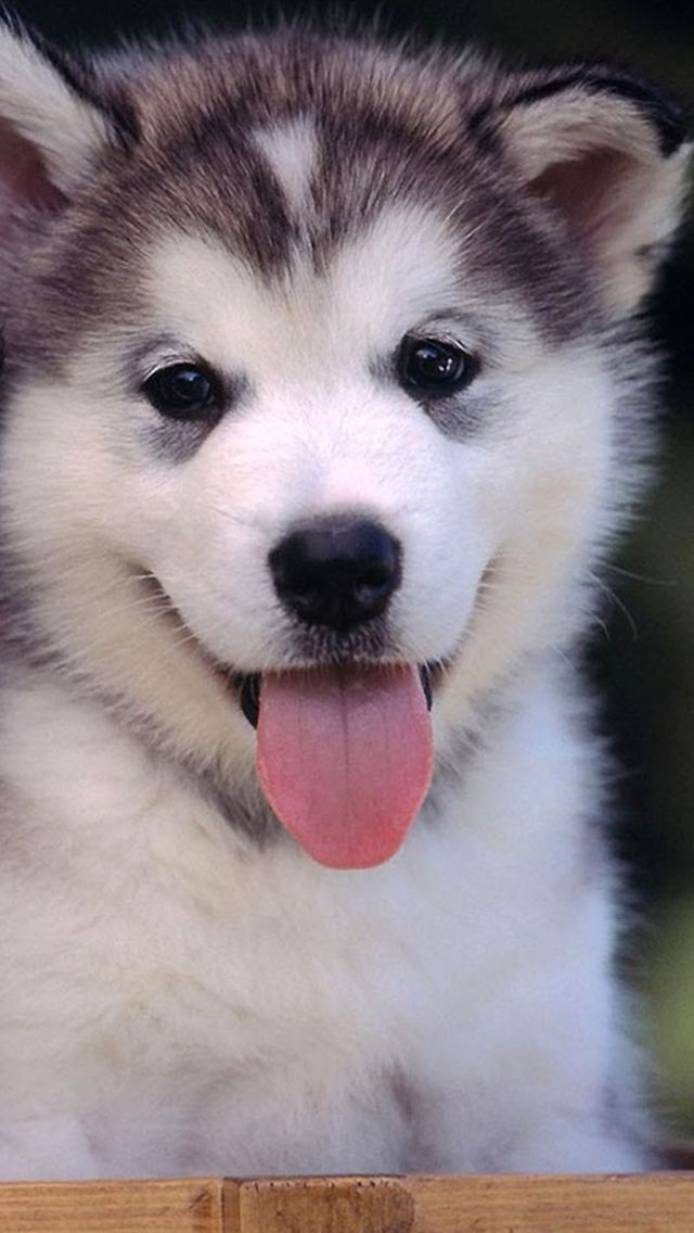 唯美1080×1920P高清壁纸锁屏画面待机背景图！请在wifi环境查看