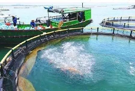 带大家了解海南临高,海南临高是个什么样的城市