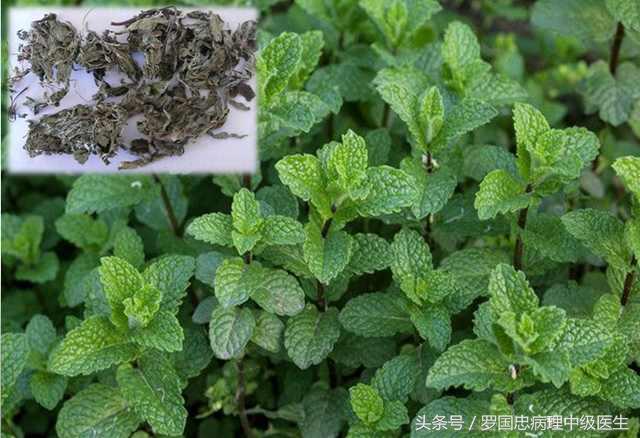 骨髓炎中药验方,骨髓炎医案