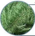 sk-ii神仙水值得买吗,sk-ii神仙水低价