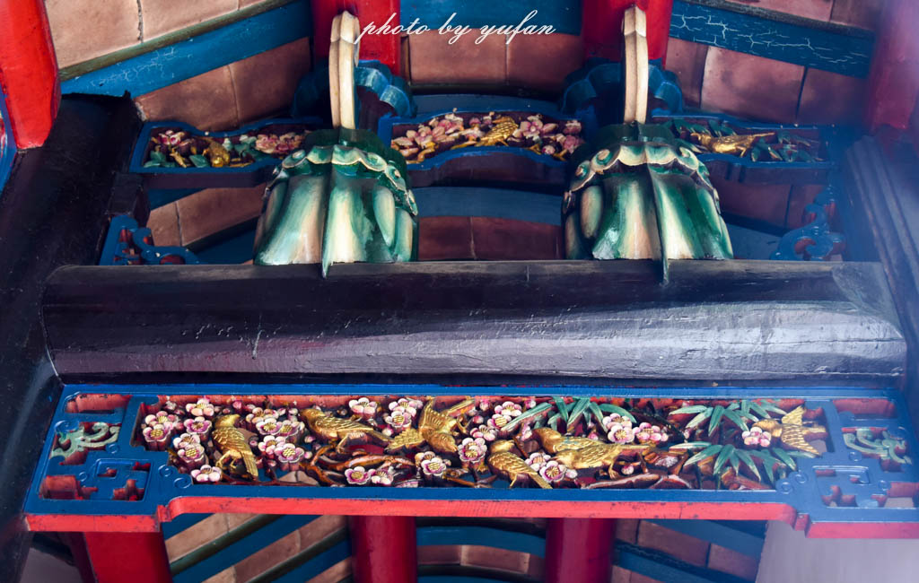 大亚湾亲子嗨玩攻略,大亚湾怎么玩一日游