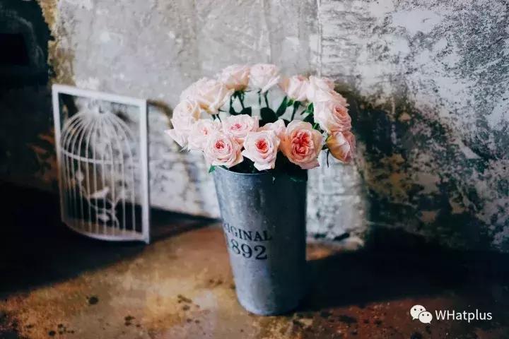 武汉最不好吃的几家店,武汉十大必吃馆子探店