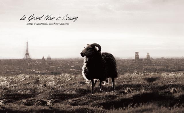 张裕葡萄酒真假鉴别方法,葡萄酒的真假鉴别