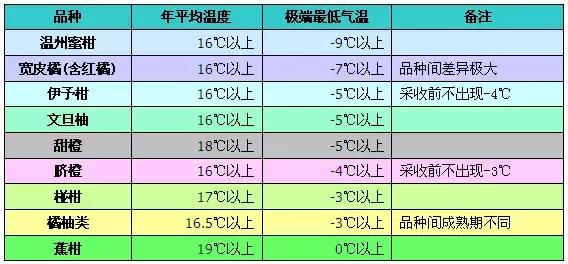 柑橘种植前有哪些注意事项,柑橘种植前要注意什么