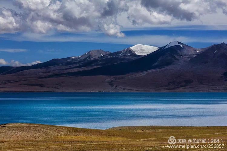 只要能去*藏西**,头痛高反什么的都不care