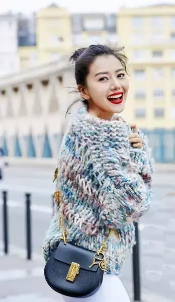 刘雯背的新款包是什么品牌,刘雯背过的一款蔻驰的包包