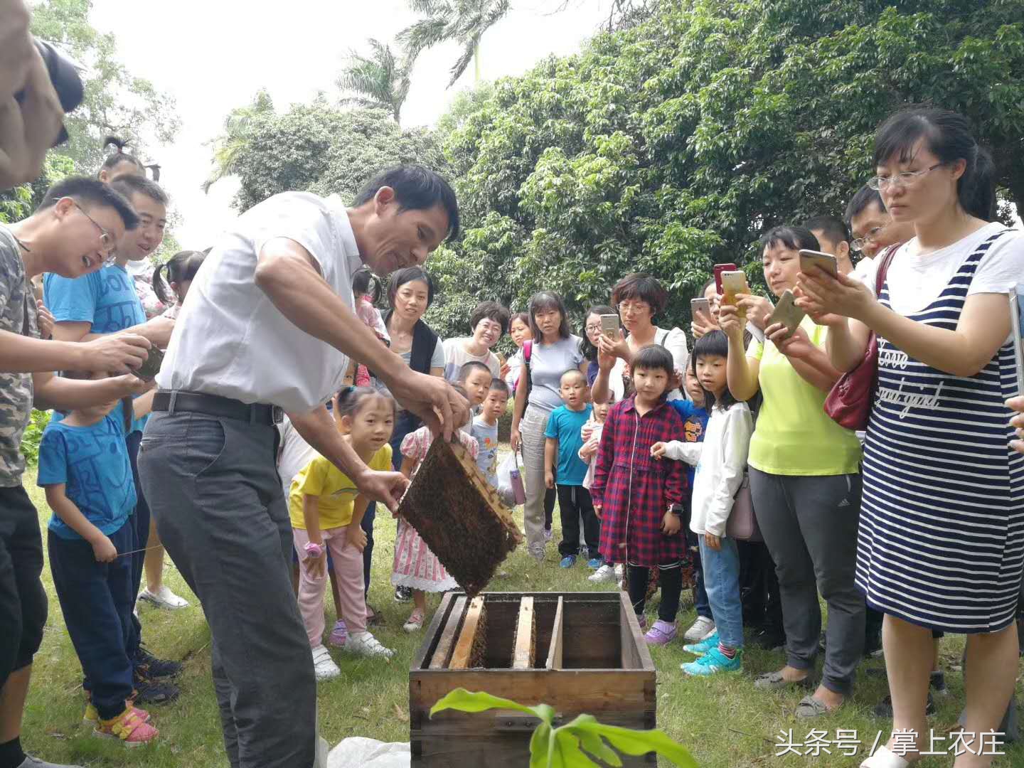小萌豆自然学堂碧岭营地的蜜蜂课堂