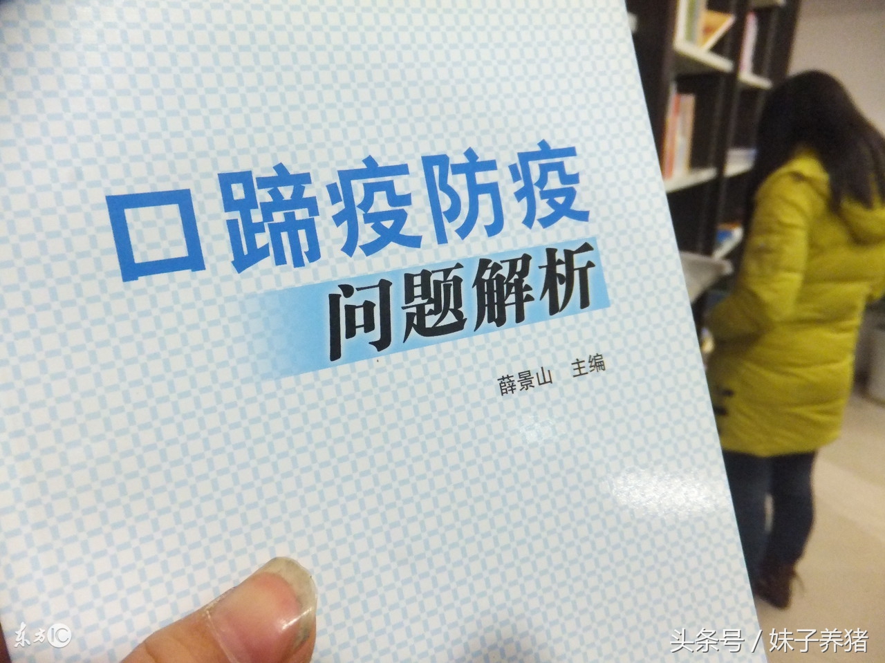 猪打疫苗应激怎么救治,猪打猪瘟疫苗应激怎么办