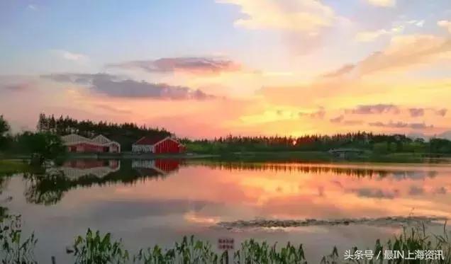 上海免费景点排行榜前十名,2022春节上海景点免费开放