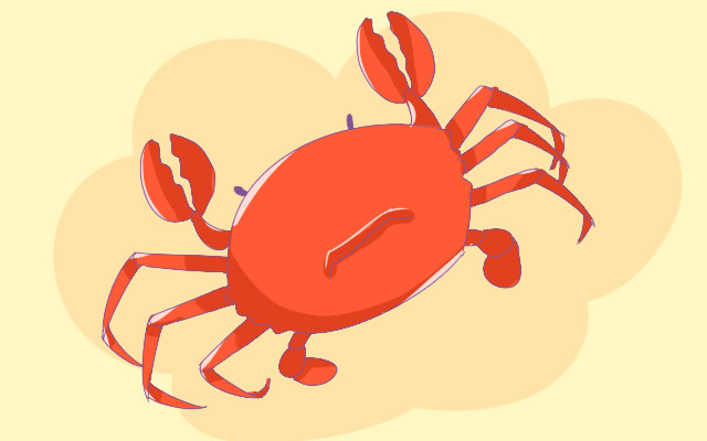 孕妈孕期绝对禁止的4种行为,孕期要怎么保护宝宝