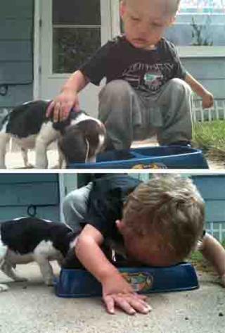 超级搞笑图片二十张不信你不笑,搞笑的图片笑到肚子痛