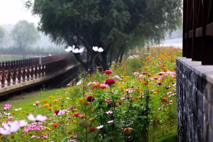 南京骑行最美路线浦口老山,南京十大最美骑行路