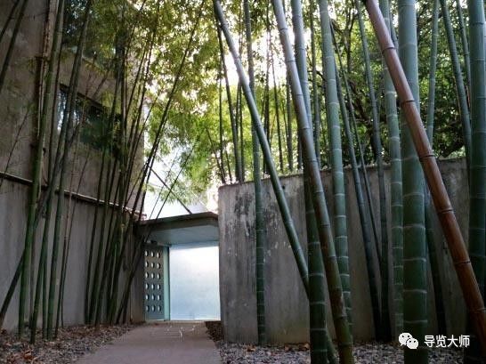 岳阳路有什么,岳阳路怎么样