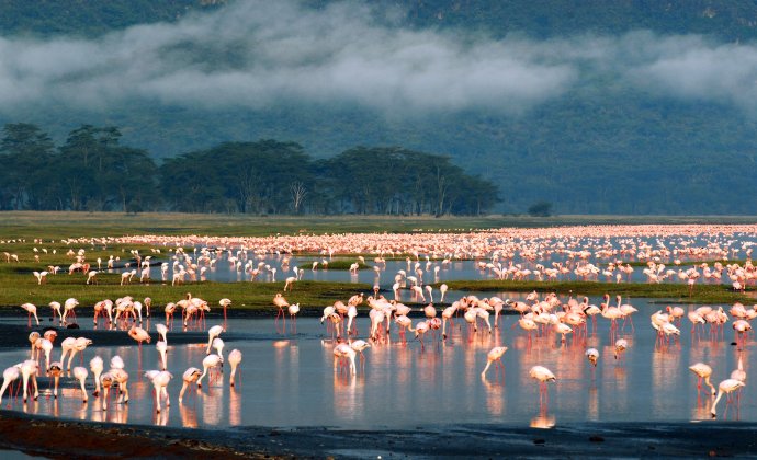 全球最美的50个自然奇观名单,世界有多少个自然奇观景点