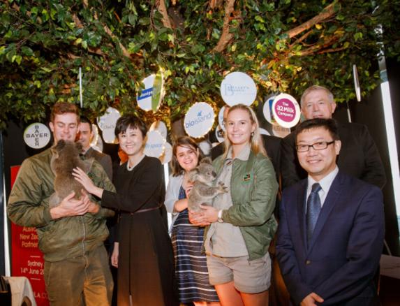 网易考拉海购与严选,网易考拉海购入驻标准