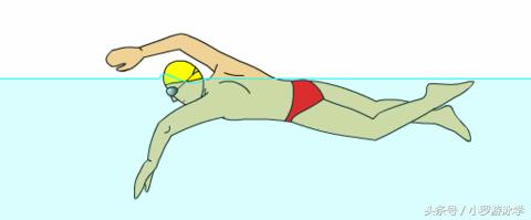 学会游泳的简单方法,学会游泳应该是每个人的必备技能