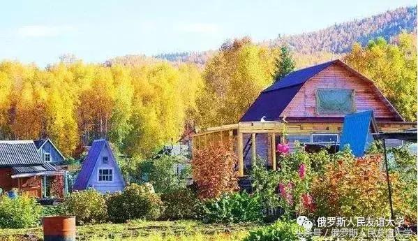 俄罗斯的秋天视频,俄罗斯的深秋美景