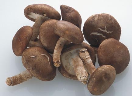 哪些食物是发物哪些人不能吃发物,发物究竟是什么生病时该怎么忌口