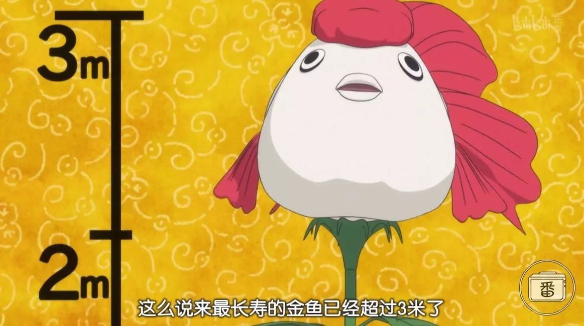 下饭神剧好笑,特别下饭的神剧