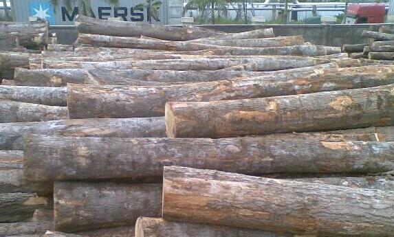 楠木做家具好还是白腊木好白蜡木用来做家具怎么样？