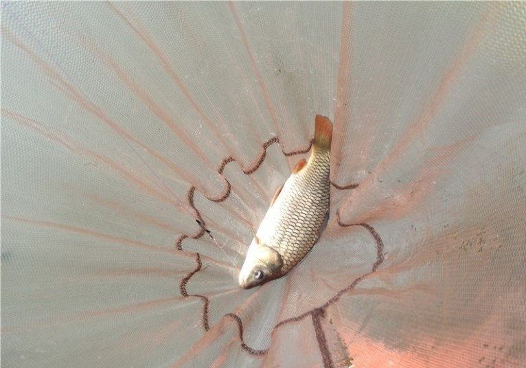 最后几天在玉林，别人掐鱼我练杆