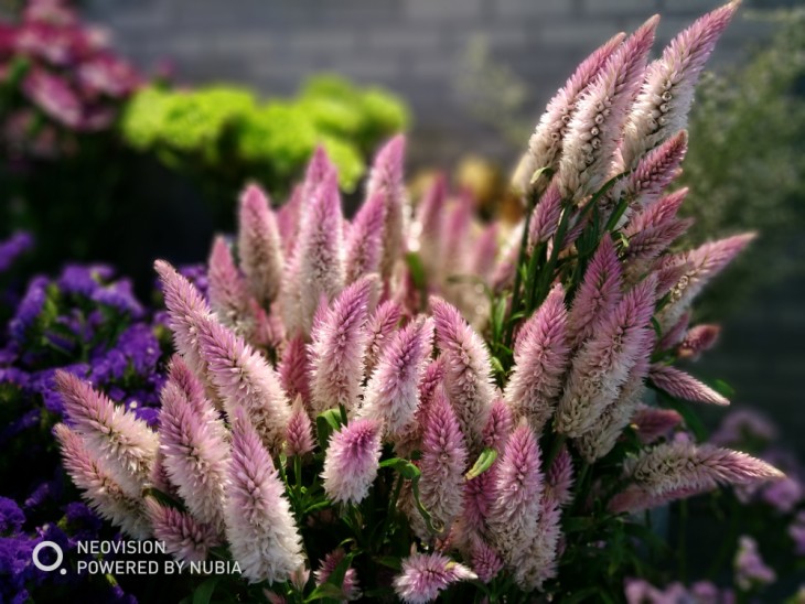 努比亚z17minis侧面照片,努比亚z17minis体验