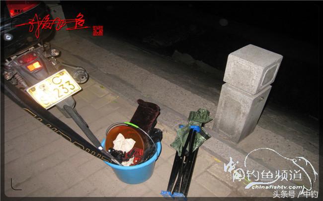 狂拉大板鲫的快乐,狂拉小鲫鱼钓鱼视频