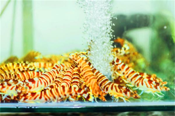 我到过许多地方是指哪里,我去过的地方皆是你看过的风景