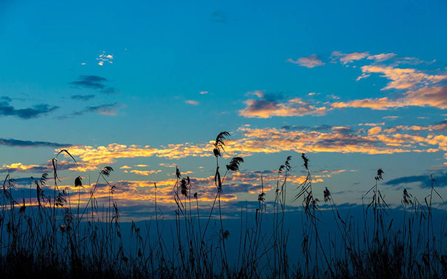 庄子人事篇,庄子人生的根本是如何与自己相处