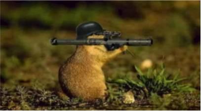 癌症基因疗法和细胞免疫疗法,分子靶向药物作用机理