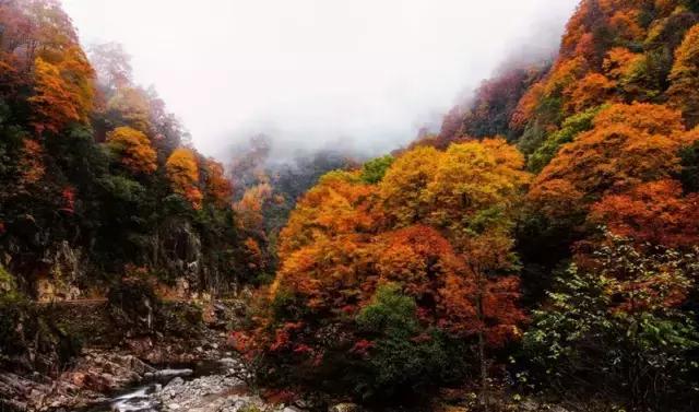 去广元必须去玩的风景,四川广元旅游必去十大景点推荐