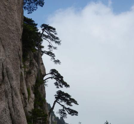 雾蒙蒙的黄山,黄山的云雾如同置身仙境