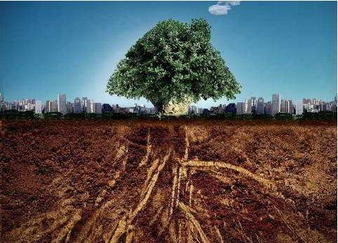 三马名车国学大讲堂之“史说中国式管理”有感