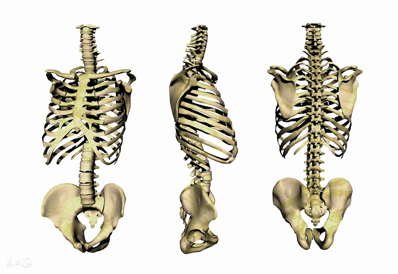 脊椎微讲堂｜腰椎间盘突出：究竟能否治愈？如何治？