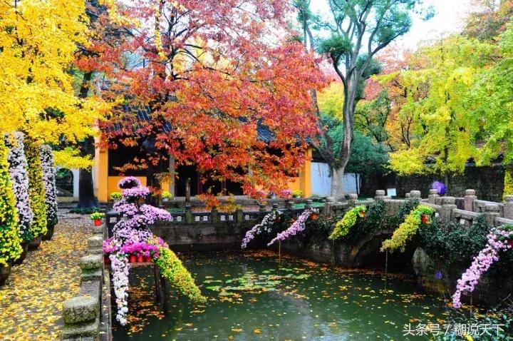 苏州吴中哪个区比较好,苏州吴中附近有哪些区