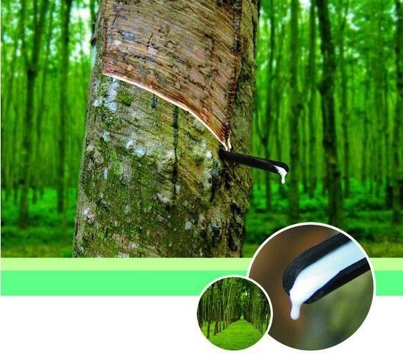 有100%天然乳胶枕吗,真正天然乳胶枕有杂质